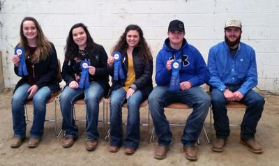 4H livestock judging.jpg
