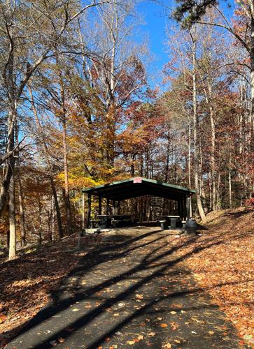 WNC Afield: Longing for level ground? This hike's for you