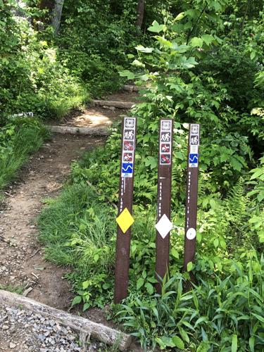 WNC Afield: There's history in every step on the South Toe