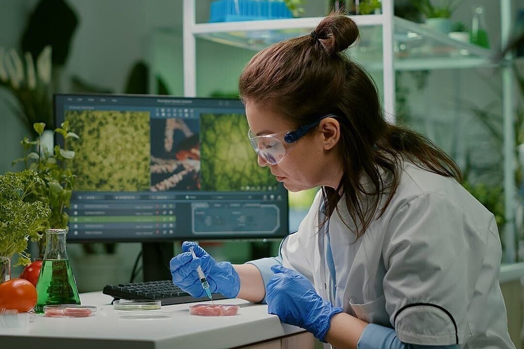 What will we eat for protein in 2030? Inside the next protein revolution