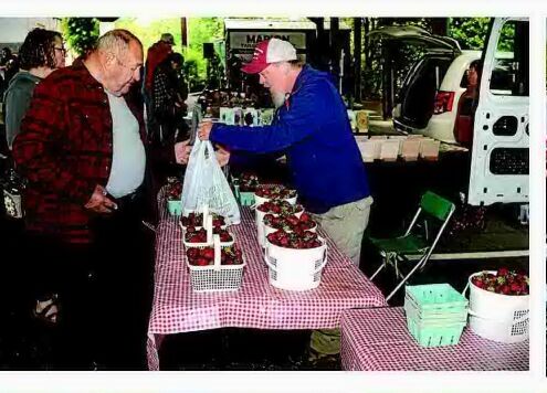 MARION'S TAILGATE MARKET OPENS FOR 2026 SEASON