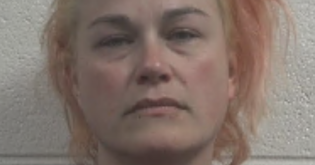 North Carolina woman is charged with arson, murder after fire kills ex ...