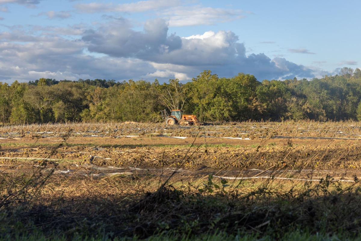 100224-MMN-news-Farmers-P5.jpg