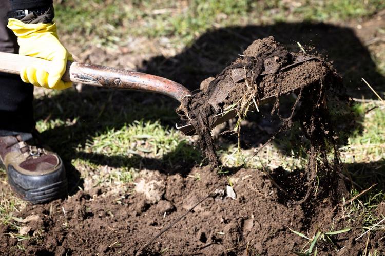 Colin Maas uncovers a pair of underwear