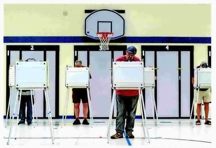 Citizens to monitor US election integrity