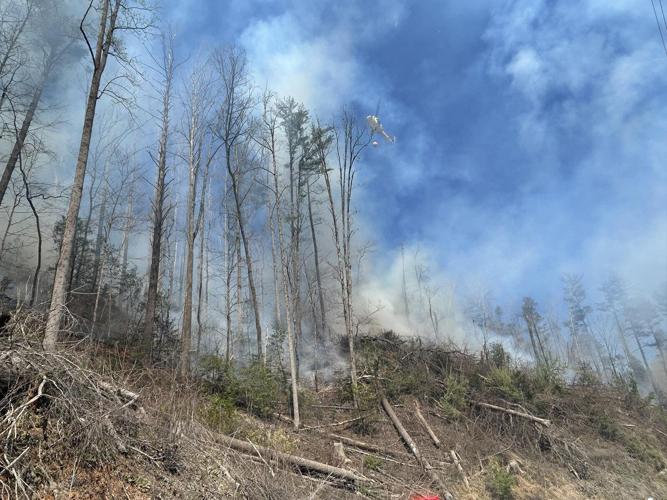 Armstrong Creek fire 2.jpg