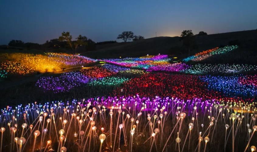 The walk-through light experience at Sensorio.