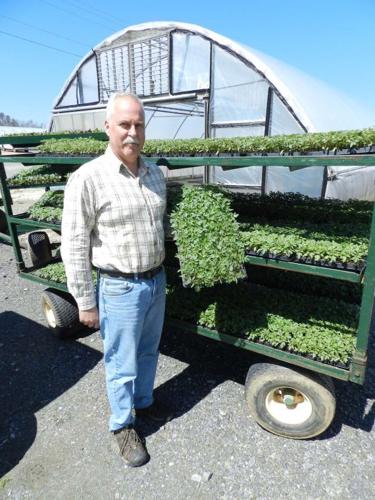 Banner Greenhouse's plants can be found countrywide