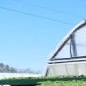 Banner Greenhouse S Plants Can Be Found Countrywide News