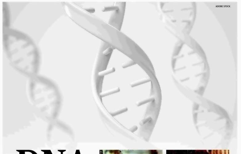 DNA CRACKS COLD CASES