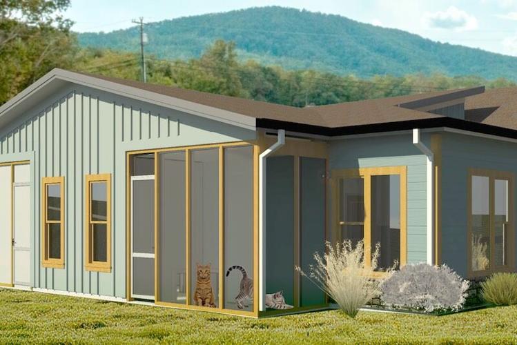 Laps and Naps for Cats 1.jpg