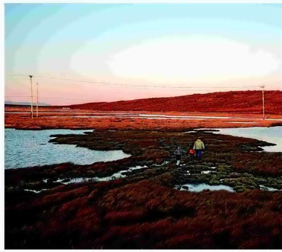 TRADITION ON THIN ICE