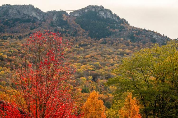 Fall Color Scenic