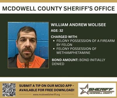 William Andrew Molisee