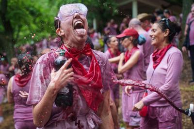 Every year thousands of locals and tourists climb a mountain in the northern Spanish wine producing region of La Rioja to celebrate St. Peter's day by covering each other in red wine using water pistols, back mounted spraying devices, buckets which are ...