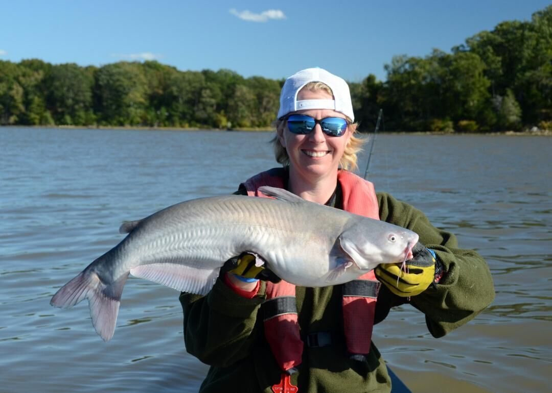 North Carolina's freshwater fish record falls after 36 years - Sandhills  Sentinel