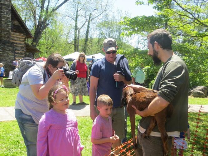 4 Great Family Activities in the Blue Ridge Mountains