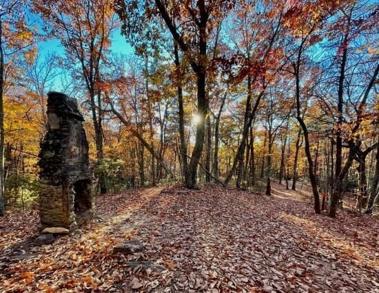 Your Guide to Fall Festivals and Events in Hickory