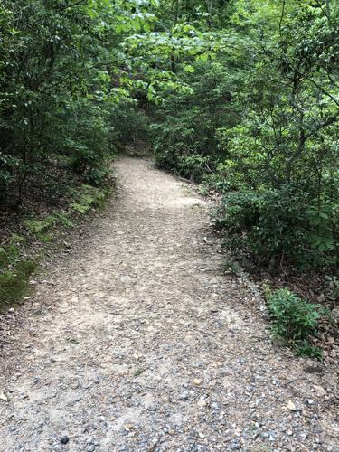 WNC Afield: Baker's Mountain is great, but never on a Wednesday