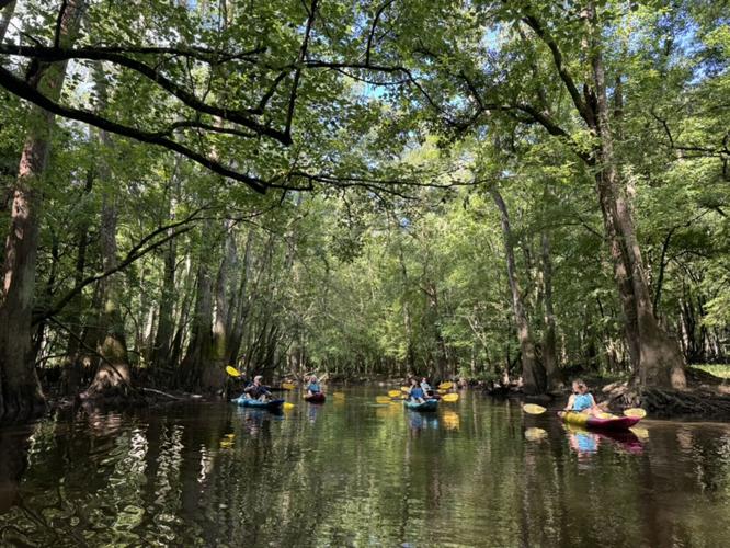 Kayaking is an ideal way to tour Congaree National Park.