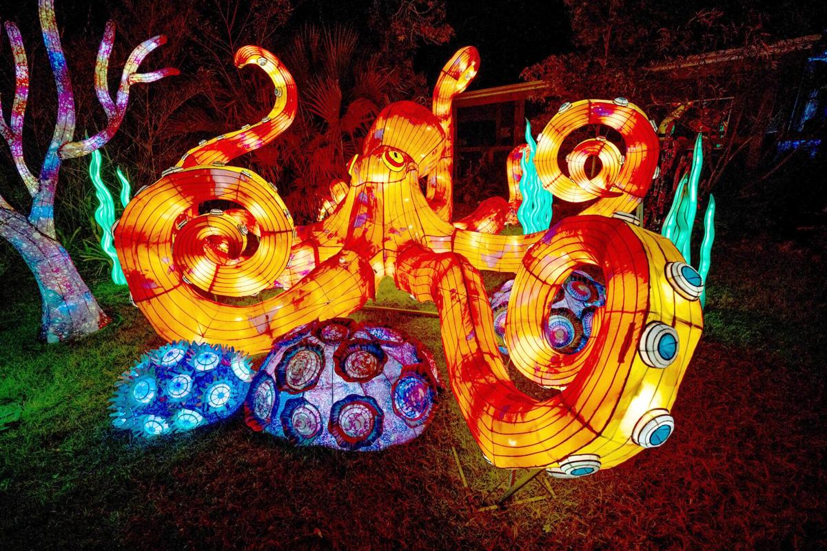 Asian Lantern Festival: Into the Wild returns for its seventh year to the Central Florida Zoo& Botanical Gardens in Sanford on select nights November through January.