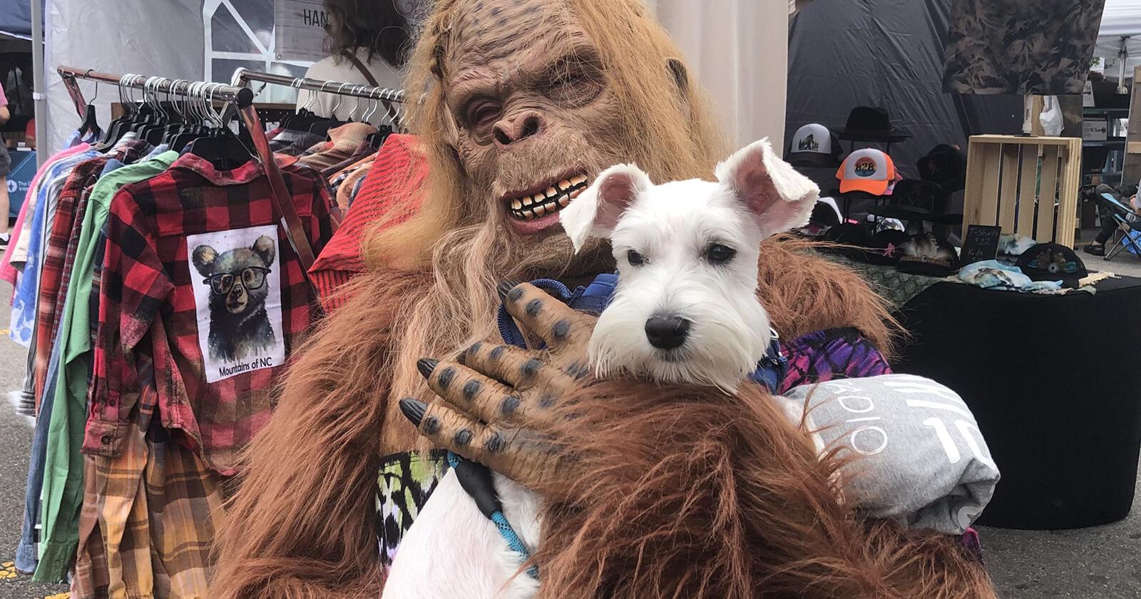 Adventures with Dandy: Meeting with Bigfoot - Vimarsana News