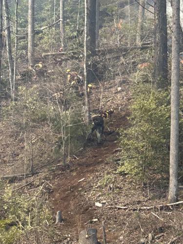 Armstrong Creek fire 4.jpg