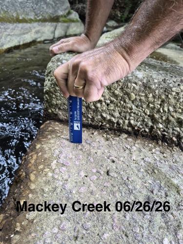 Water 2 6.26.26 Mackey Creek 2.jpeg