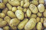 Potatoes