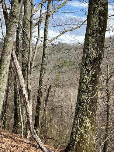 Afield in WNC: Bear Den Cascade Trail is nearby and (mostly) straight up
