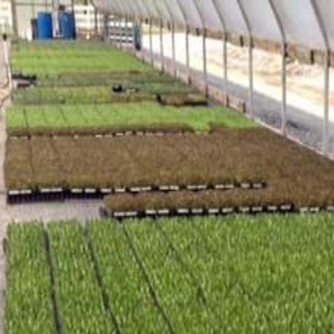 Made In Mcdowell Banner Greenhouses Expands Production In 24th