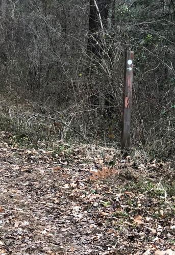 WNC Afield: Beaver Dam Trail a nice alternative to greenways