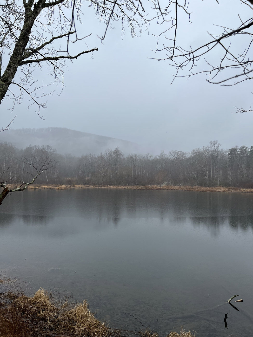 WNC Afield: Twin Ponds Trail may just 'bless your heart'