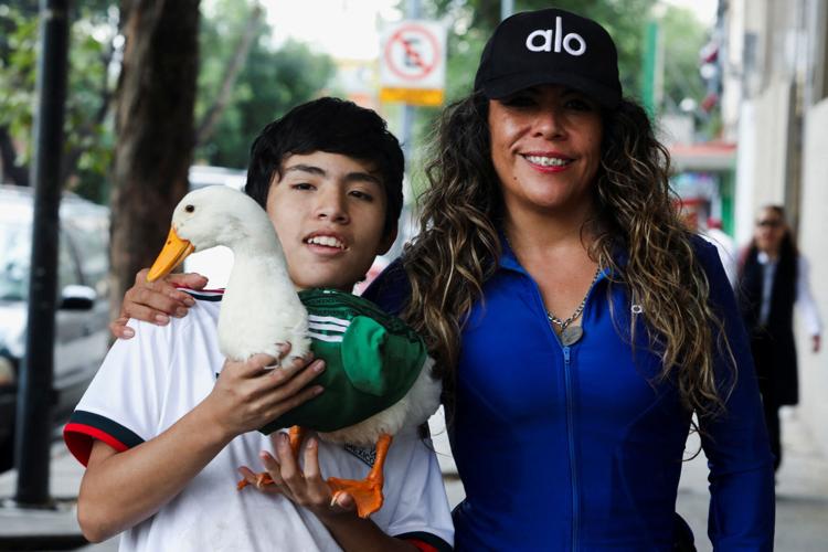 Merlin, the duck donning an 'El Tri' soccer jersey that turns heads across Mexico City