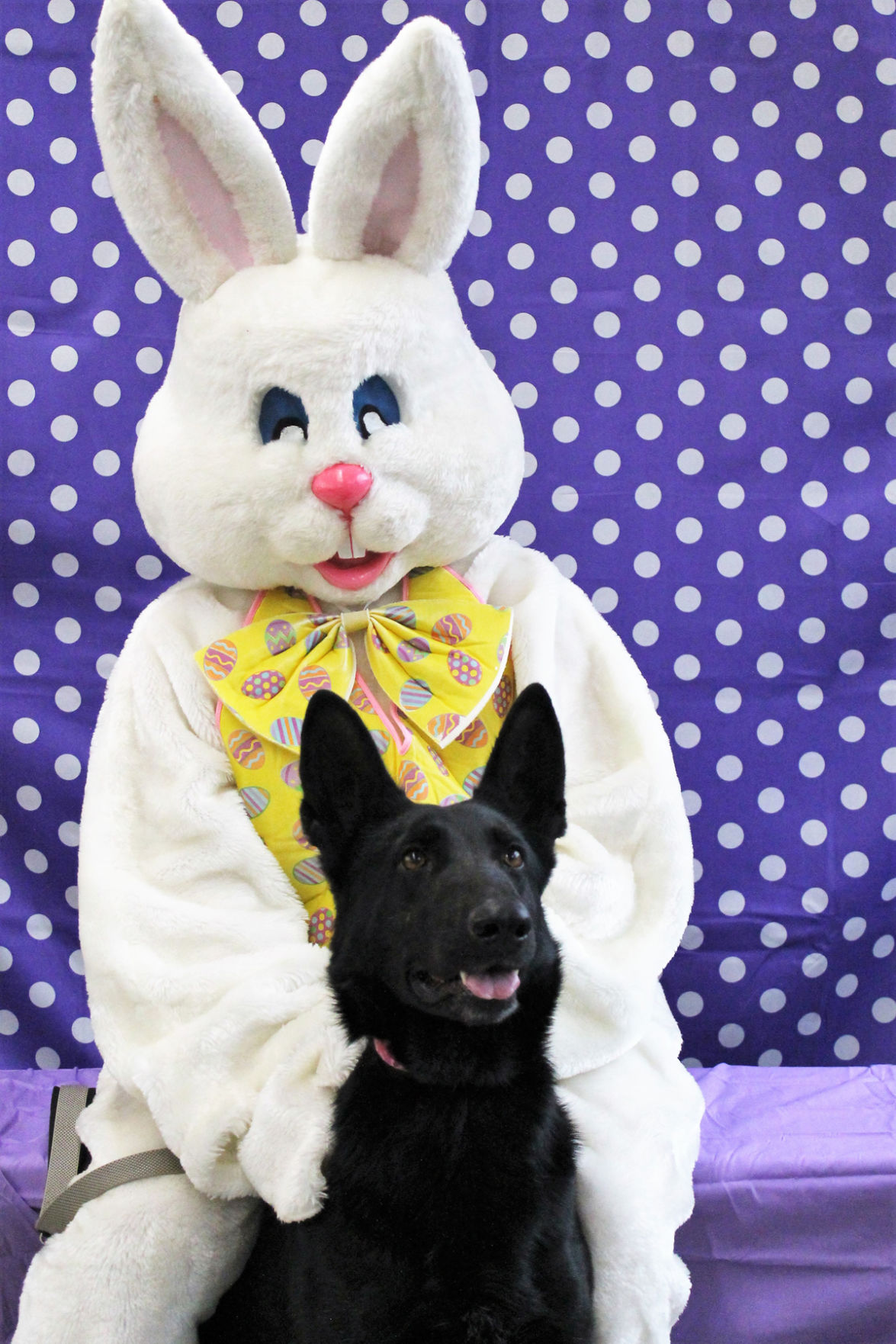 Easter Bunny spotted at Tractor Supply Photos