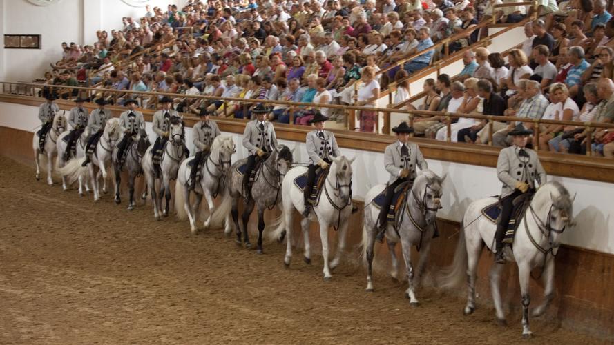 At the Royal Andalusian School of Equestrian Art in Jerez, Spain, horses perform an equestrian ballet with choreography and costumes from the 19th century.
