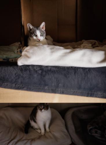 Suzanne Baber After Hurricane Helene