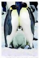 LIBRARY CORNER: FEBRUARY EVENTS