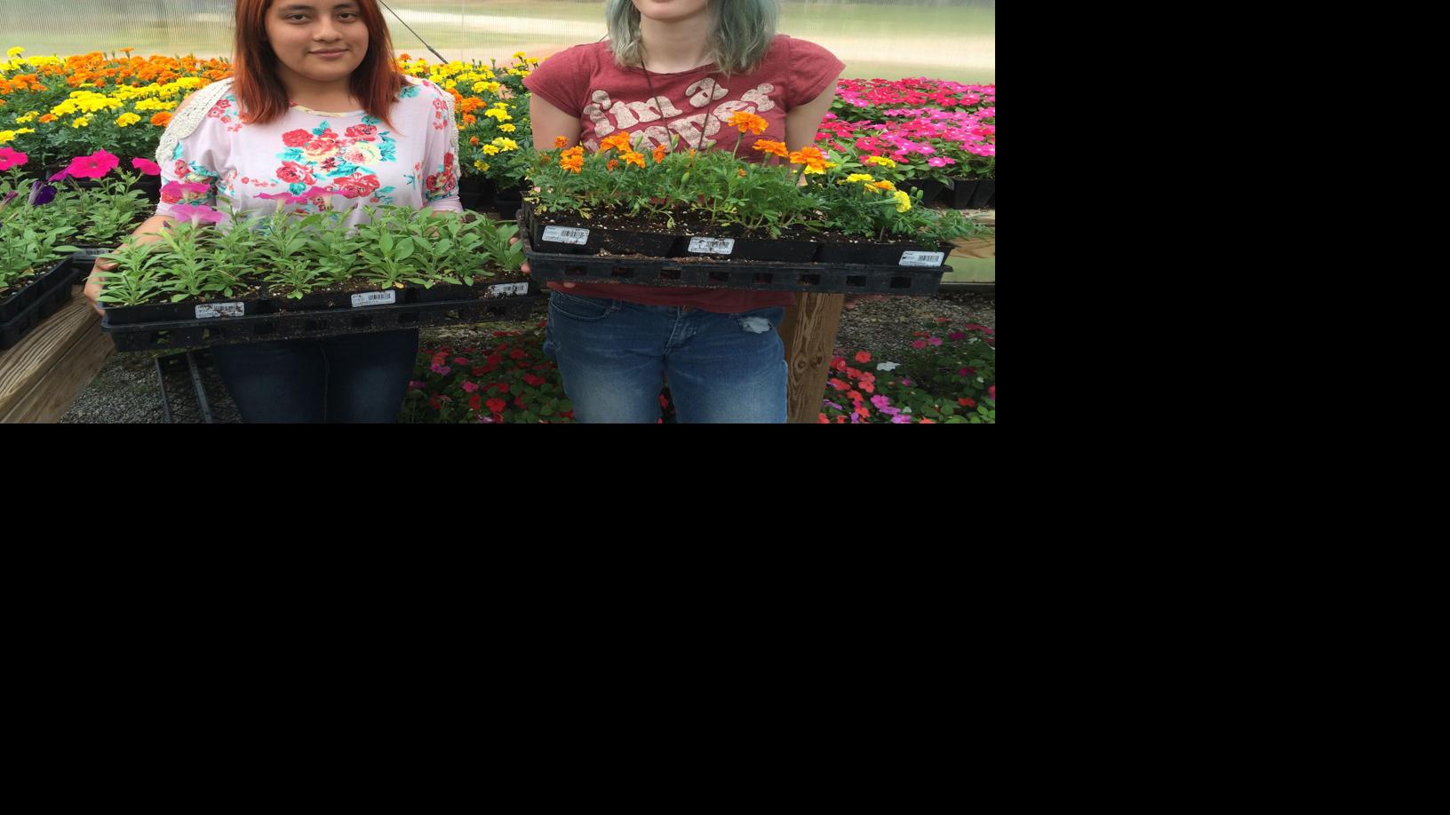 Titan Greenhouse Ready To Sell Flowers Vegetable Plants News