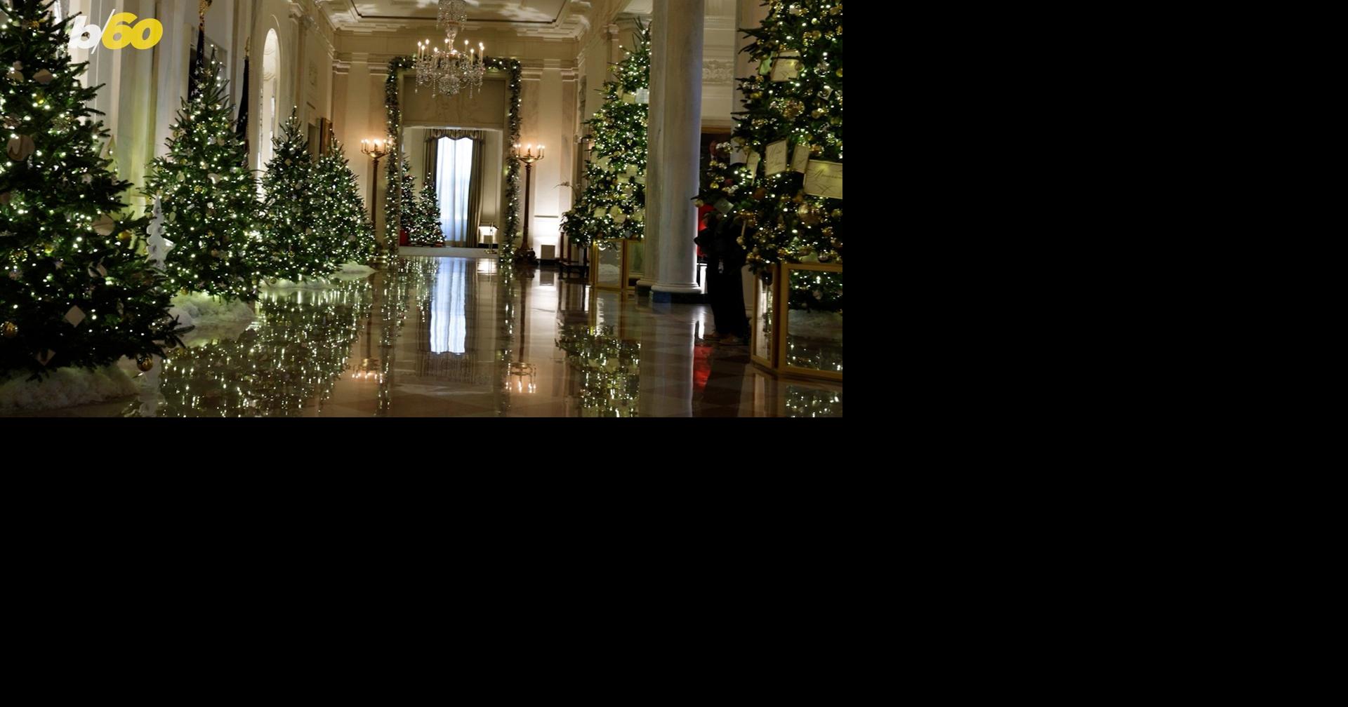 MTCC Christmas tree lighting to take place Thursday at Universal Center ...
