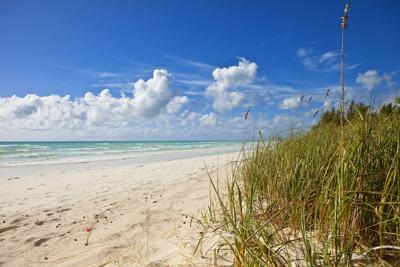 WORLD-NEWS-CORONAVIRUS-CARIBBEAN-DMT