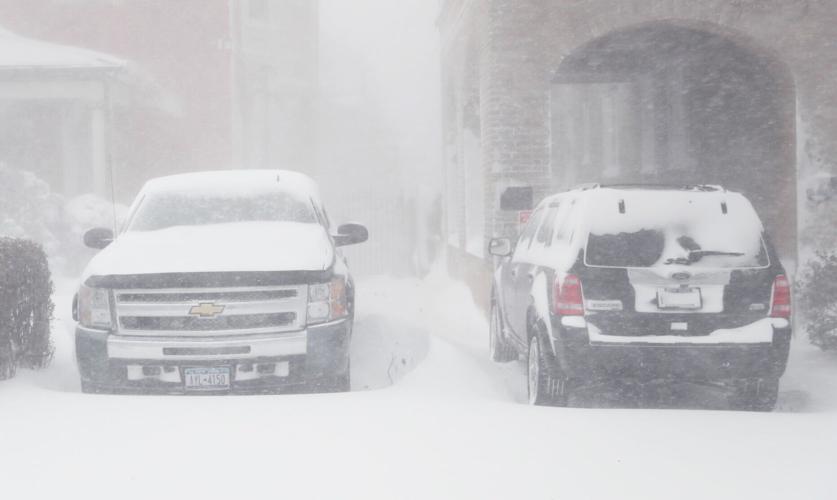 Buffalo Blizzard
