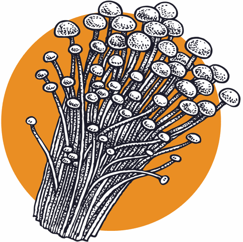 Enoki mushrooms