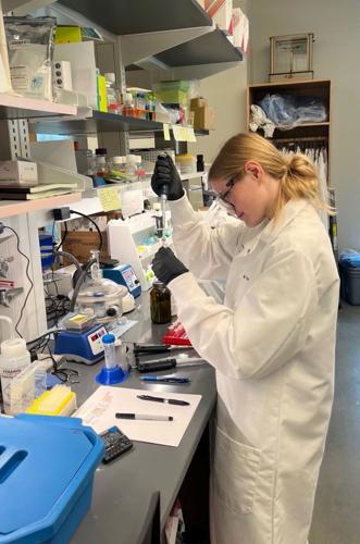 03xx26-hdr-news-abbygray-p2