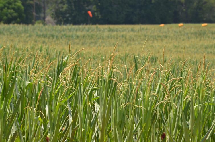 071024-srl-news-droughtfarming-p3