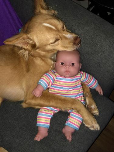 Aldridge house burn followup 4.jpg