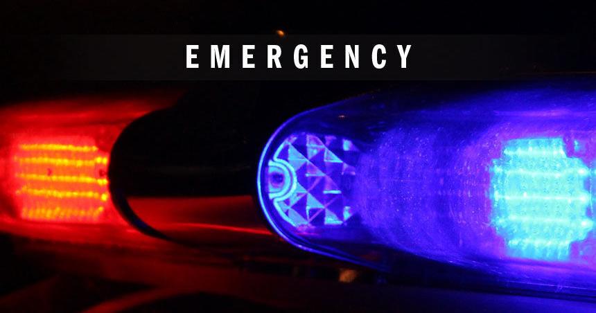 8-year-old killed by falling tree in George Hildebrand area - Vimarsana News