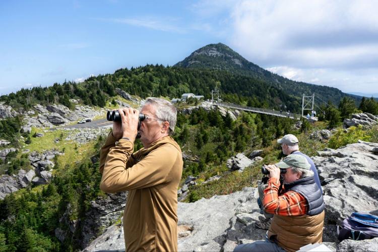 GMSF_Hawk Watch_Observation_Photo Courtesy of Grandfather Mountain Stewardship Foundation