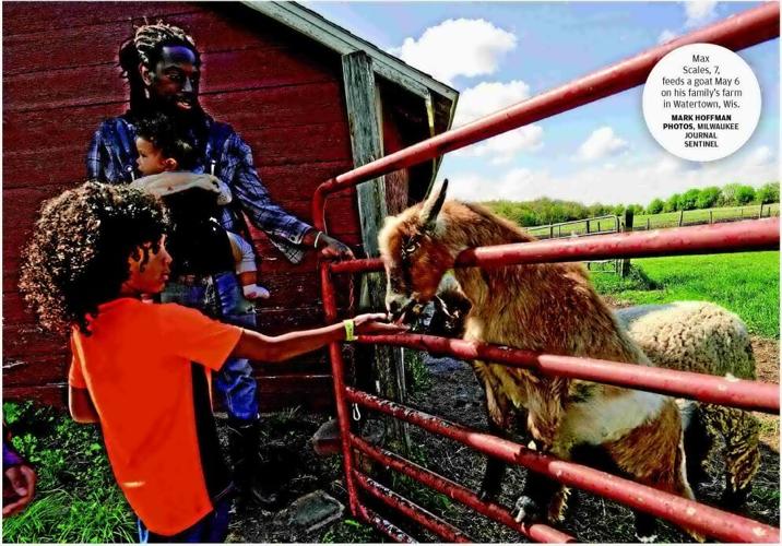 Cultivating community