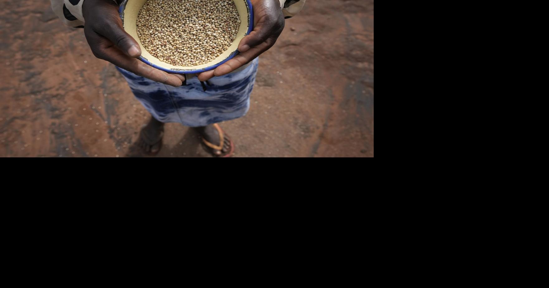 UN eyes revival of millets as global grain uncertainty grows